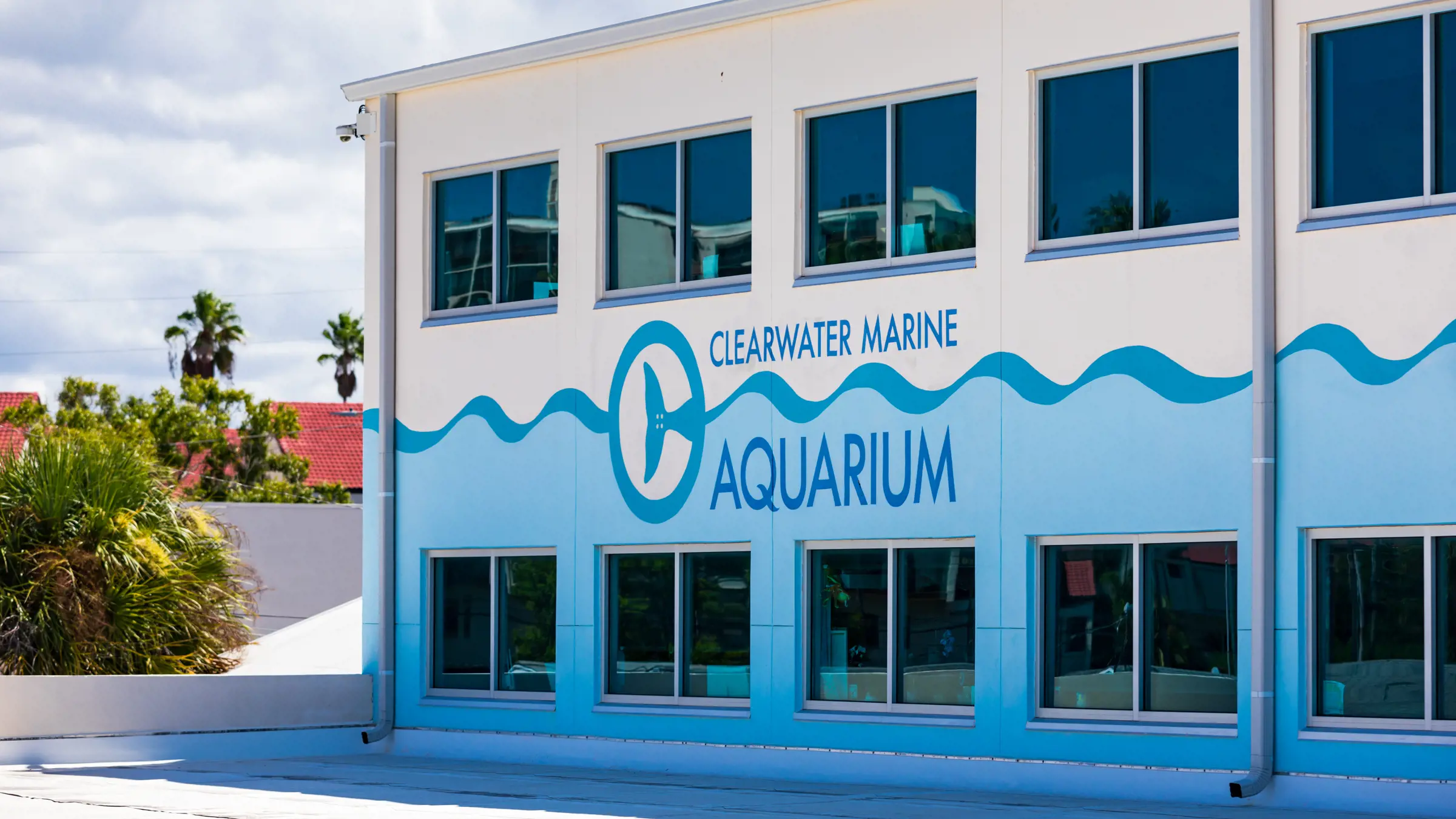 Unterstütze das Marine Aquarium mit deinem Besuch